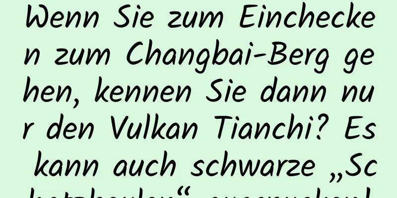 Wenn Sie zum Einchecken zum Changbai-Berg gehen, kennen Sie dann nur den Vulkan Tianchi? Es kann auch schwarze „Schatzbeulen“ ausspucken!