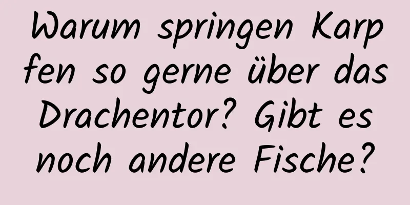 Warum springen Karpfen so gerne über das Drachentor? Gibt es noch andere Fische?