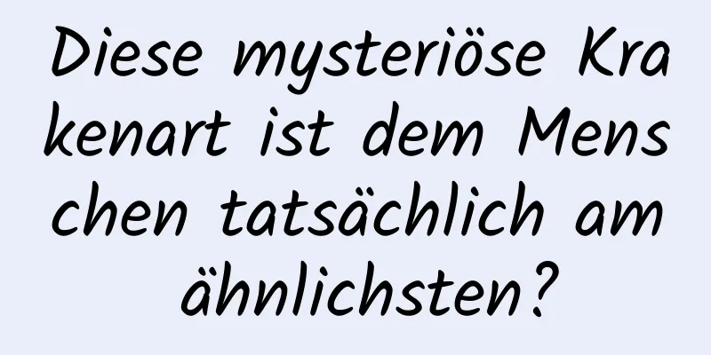 Diese mysteriöse Krakenart ist dem Menschen tatsächlich am ähnlichsten?