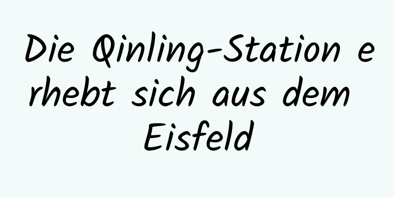 Die Qinling-Station erhebt sich aus dem Eisfeld