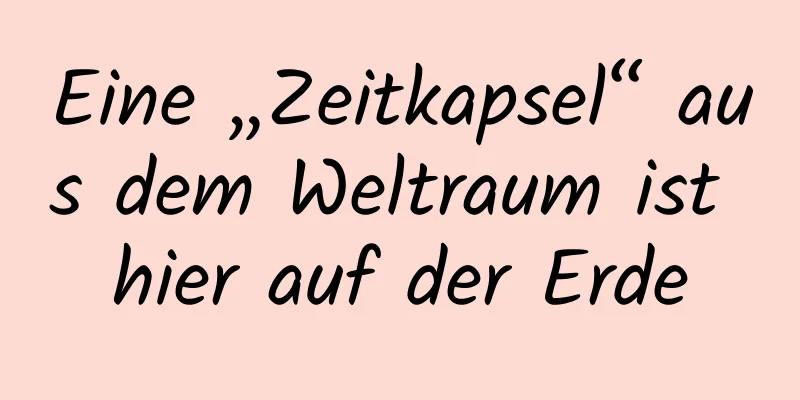 Eine „Zeitkapsel“ aus dem Weltraum ist hier auf der Erde