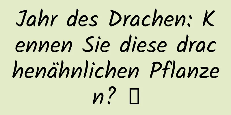 Jahr des Drachen: Kennen Sie diese drachenähnlichen Pflanzen? →