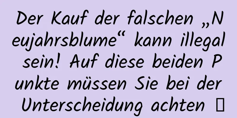 Der Kauf der falschen „Neujahrsblume“ kann illegal sein! Auf diese beiden Punkte müssen Sie bei der Unterscheidung achten →