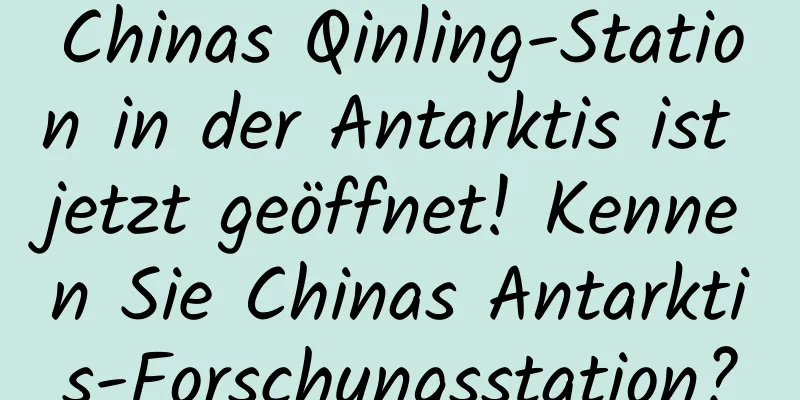 Chinas Qinling-Station in der Antarktis ist jetzt geöffnet! Kennen Sie Chinas Antarktis-Forschungsstation?