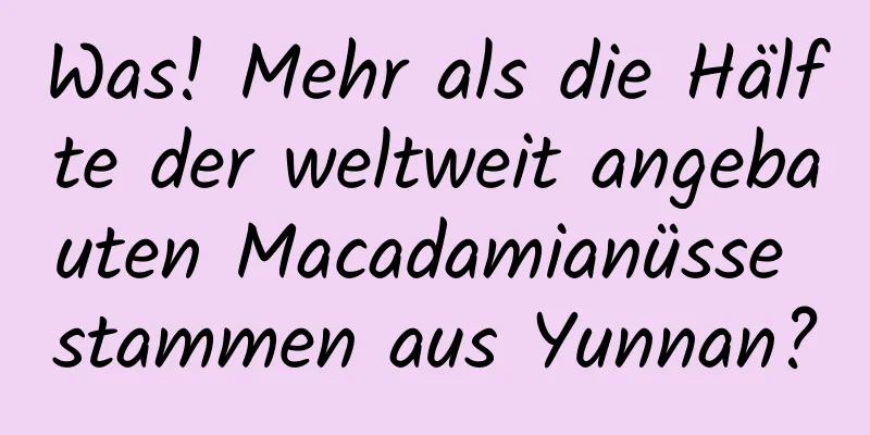 Was! Mehr als die Hälfte der weltweit angebauten Macadamianüsse stammen aus Yunnan?