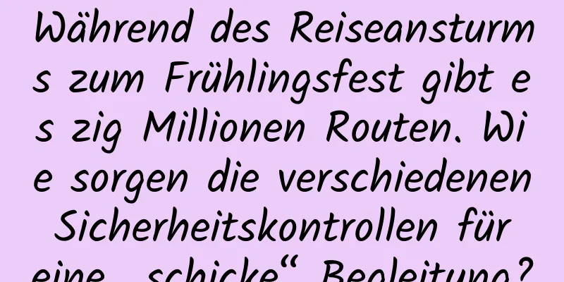 Während des Reiseansturms zum Frühlingsfest gibt es zig Millionen Routen. Wie sorgen die verschiedenen Sicherheitskontrollen für eine „schicke“ Begleitung?