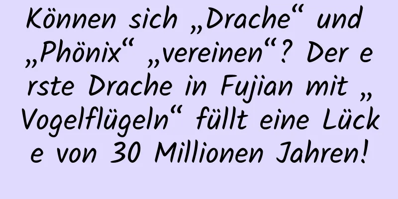 Können sich „Drache“ und „Phönix“ „vereinen“? Der erste Drache in Fujian mit „Vogelflügeln“ füllt eine Lücke von 30 Millionen Jahren!