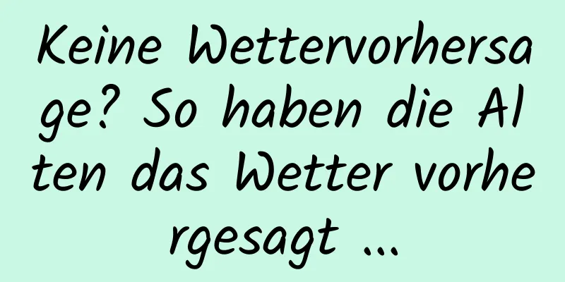 Keine Wettervorhersage? So haben die Alten das Wetter vorhergesagt ...