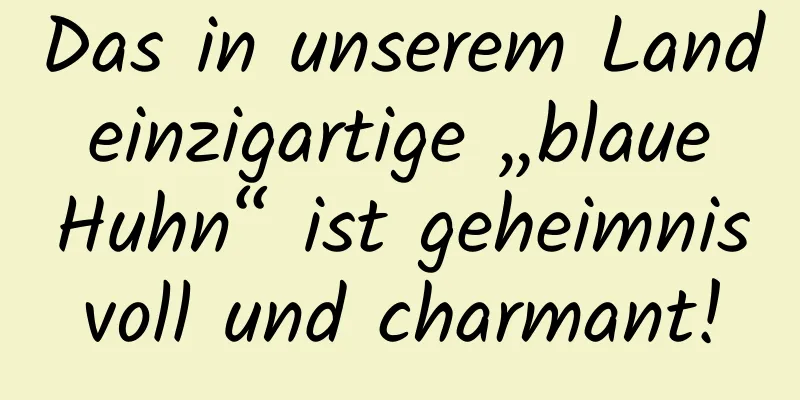 Das in unserem Land einzigartige „blaue Huhn“ ist geheimnisvoll und charmant!
