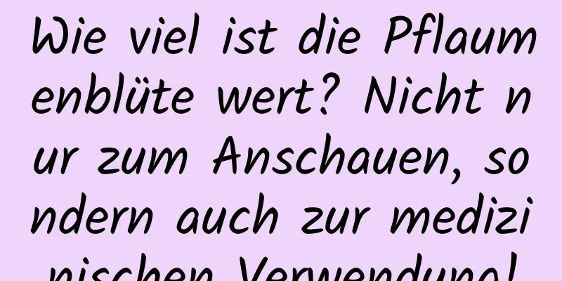 Wie viel ist die Pflaumenblüte wert? Nicht nur zum Anschauen, sondern auch zur medizinischen Verwendung!