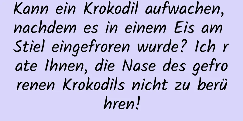 Kann ein Krokodil aufwachen, nachdem es in einem Eis am Stiel eingefroren wurde? Ich rate Ihnen, die Nase des gefrorenen Krokodils nicht zu berühren!