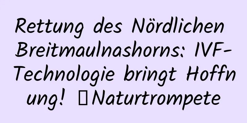 Rettung des Nördlichen Breitmaulnashorns: IVF-Technologie bringt Hoffnung! ｜Naturtrompete