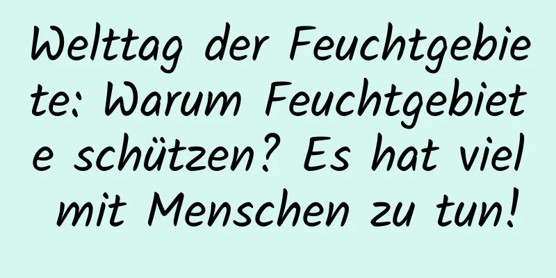 Welttag der Feuchtgebiete: Warum Feuchtgebiete schützen? Es hat viel mit Menschen zu tun!