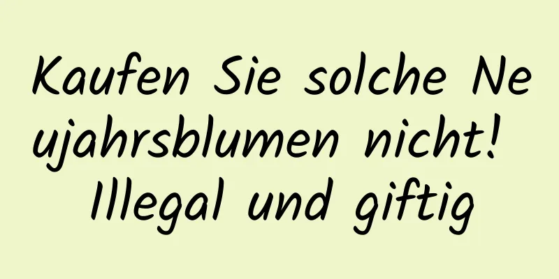 Kaufen Sie solche Neujahrsblumen nicht! Illegal und giftig