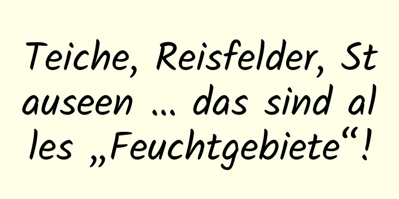Teiche, Reisfelder, Stauseen … das sind alles „Feuchtgebiete“!