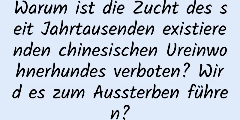 Warum ist die Zucht des seit Jahrtausenden existierenden chinesischen Ureinwohnerhundes verboten? Wird es zum Aussterben führen?