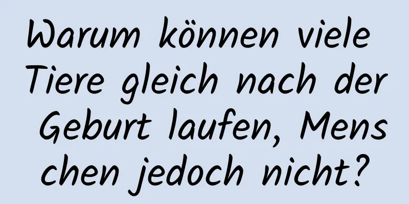 Warum können viele Tiere gleich nach der Geburt laufen, Menschen jedoch nicht?