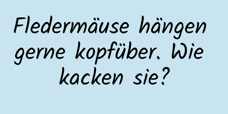Fledermäuse hängen gerne kopfüber. Wie kacken sie?