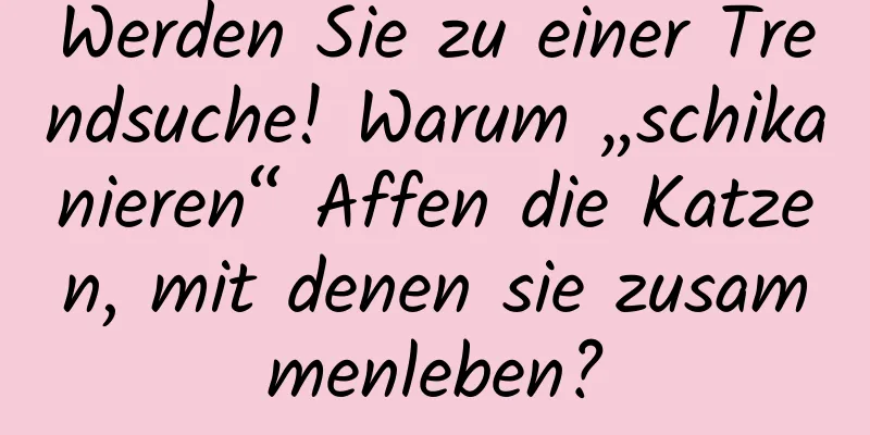 Werden Sie zu einer Trendsuche! Warum „schikanieren“ Affen die Katzen, mit denen sie zusammenleben?
