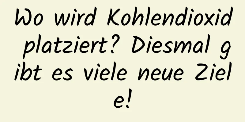 Wo wird Kohlendioxid platziert? Diesmal gibt es viele neue Ziele!