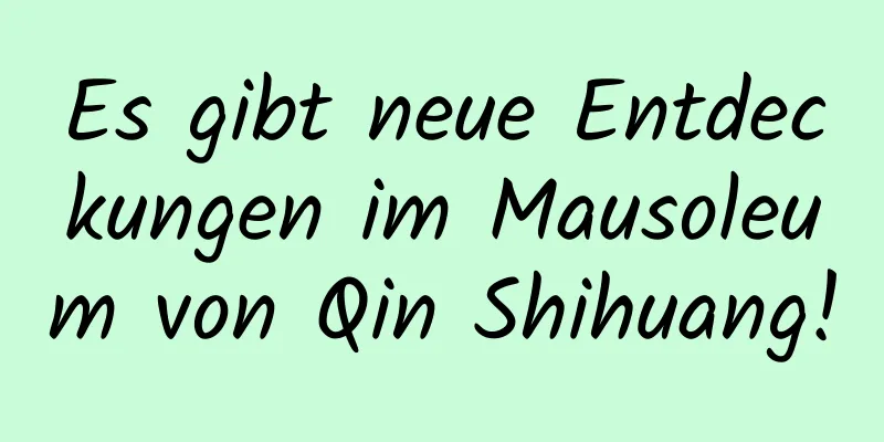 Es gibt neue Entdeckungen im Mausoleum von Qin Shihuang!