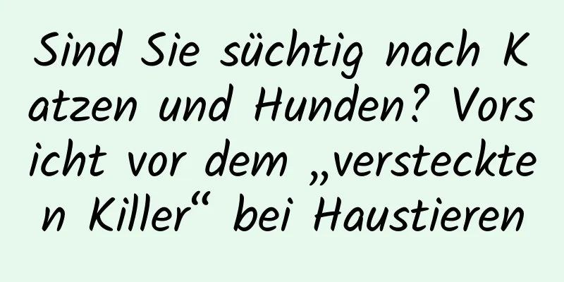 Sind Sie süchtig nach Katzen und Hunden? Vorsicht vor dem „versteckten Killer“ bei Haustieren