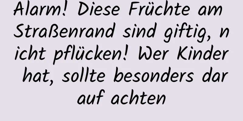 Alarm! Diese Früchte am Straßenrand sind giftig, nicht pflücken! Wer Kinder hat, sollte besonders darauf achten