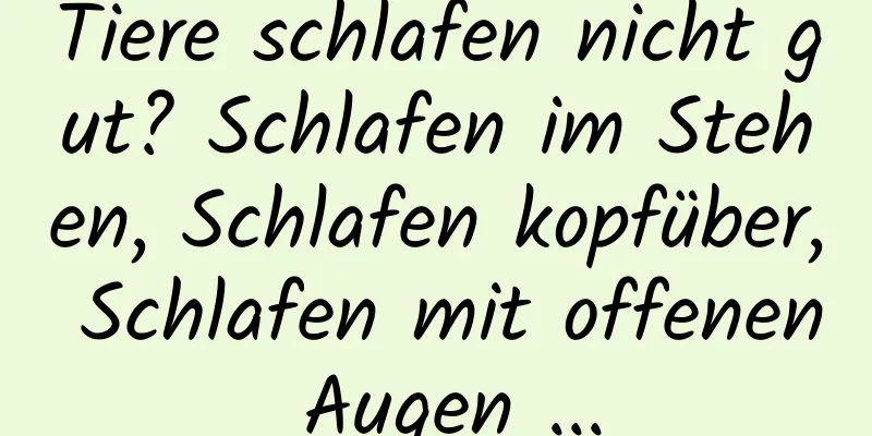 Tiere schlafen nicht gut? Schlafen im Stehen, Schlafen kopfüber, Schlafen mit offenen Augen ...