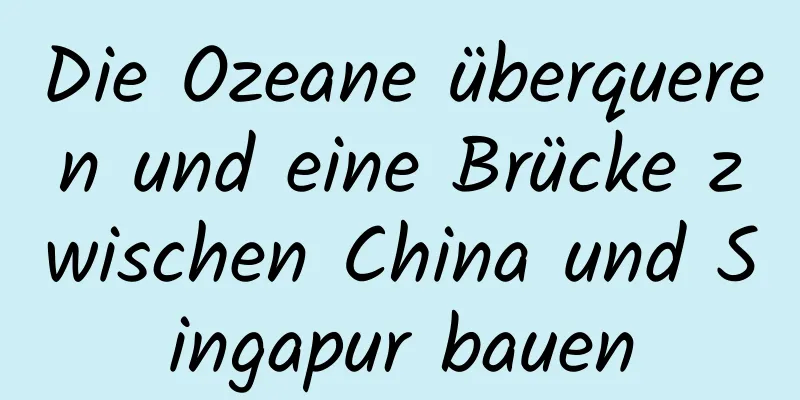 Die Ozeane überqueren und eine Brücke zwischen China und Singapur bauen