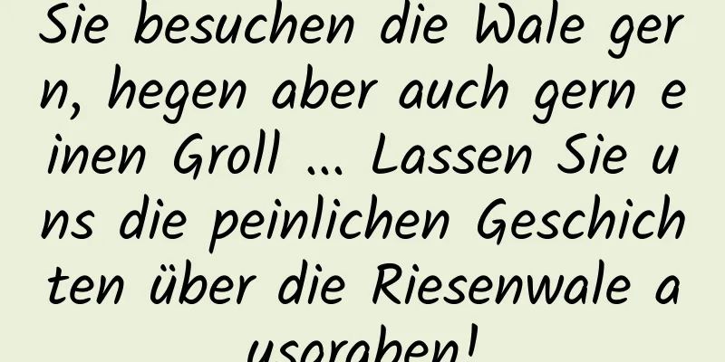 Sie besuchen die Wale gern, hegen aber auch gern einen Groll ... Lassen Sie uns die peinlichen Geschichten über die Riesenwale ausgraben!