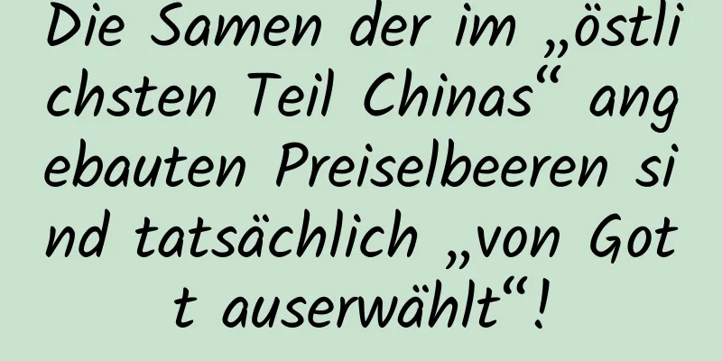 Die Samen der im „östlichsten Teil Chinas“ angebauten Preiselbeeren sind tatsächlich „von Gott auserwählt“!