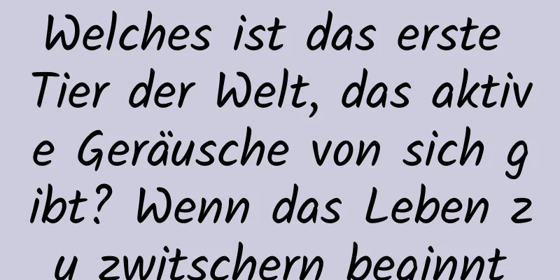 Welches ist das erste Tier der Welt, das aktive Geräusche von sich gibt? Wenn das Leben zu zwitschern beginnt