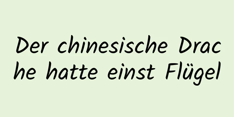 Der chinesische Drache hatte einst Flügel