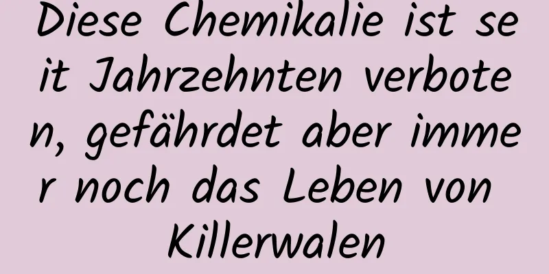 Diese Chemikalie ist seit Jahrzehnten verboten, gefährdet aber immer noch das Leben von Killerwalen