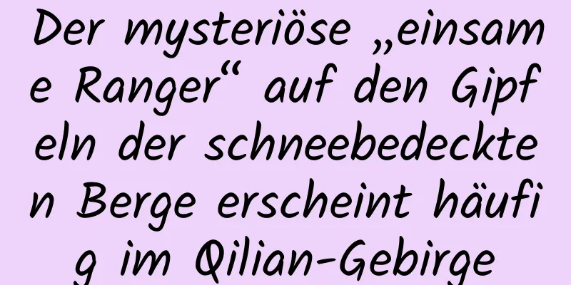 Der mysteriöse „einsame Ranger“ auf den Gipfeln der schneebedeckten Berge erscheint häufig im Qilian-Gebirge