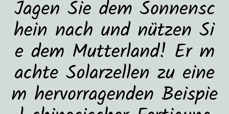 Jagen Sie dem Sonnenschein nach und nützen Sie dem Mutterland! Er machte Solarzellen zu einem hervorragenden Beispiel chinesischer Fertigung