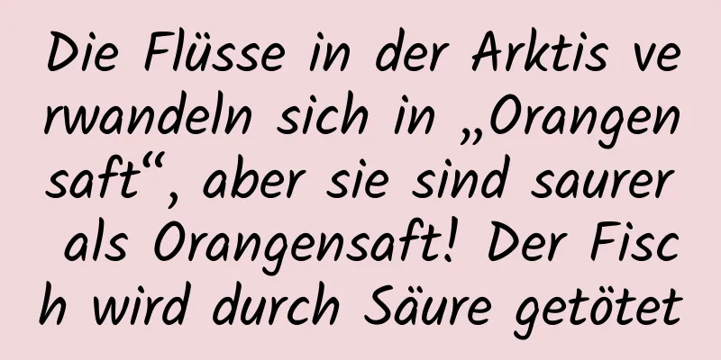 Die Flüsse in der Arktis verwandeln sich in „Orangensaft“, aber sie sind saurer als Orangensaft! Der Fisch wird durch Säure getötet