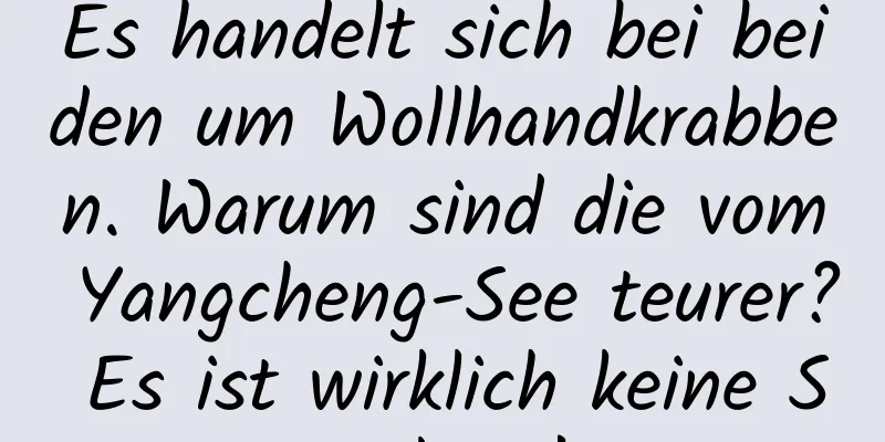 Es handelt sich bei beiden um Wollhandkrabben. Warum sind die vom Yangcheng-See teurer? Es ist wirklich keine Spielerei!