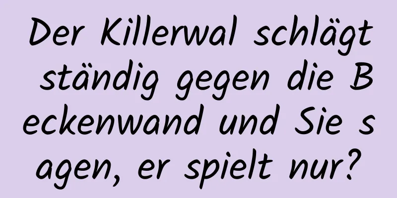 Der Killerwal schlägt ständig gegen die Beckenwand und Sie sagen, er spielt nur?