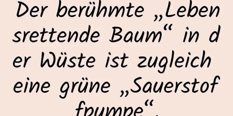 Der berühmte „Lebensrettende Baum“ in der Wüste ist zugleich eine grüne „Sauerstoffpumpe“.