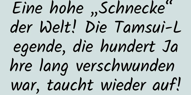 Eine hohe „Schnecke“ der Welt! Die Tamsui-Legende, die hundert Jahre lang verschwunden war, taucht wieder auf!