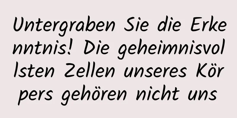 Untergraben Sie die Erkenntnis! Die geheimnisvollsten Zellen unseres Körpers gehören nicht uns