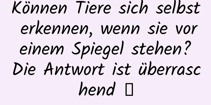 Können Tiere sich selbst erkennen, wenn sie vor einem Spiegel stehen? Die Antwort ist überraschend →