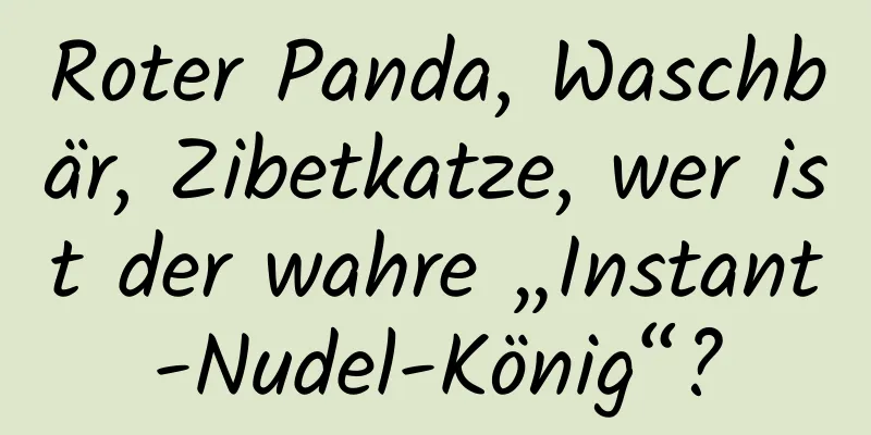 Roter Panda, Waschbär, Zibetkatze, wer ist der wahre „Instant-Nudel-König“?