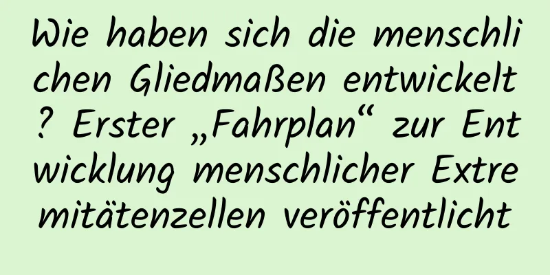 Wie haben sich die menschlichen Gliedmaßen entwickelt? Erster „Fahrplan“ zur Entwicklung menschlicher Extremitätenzellen veröffentlicht