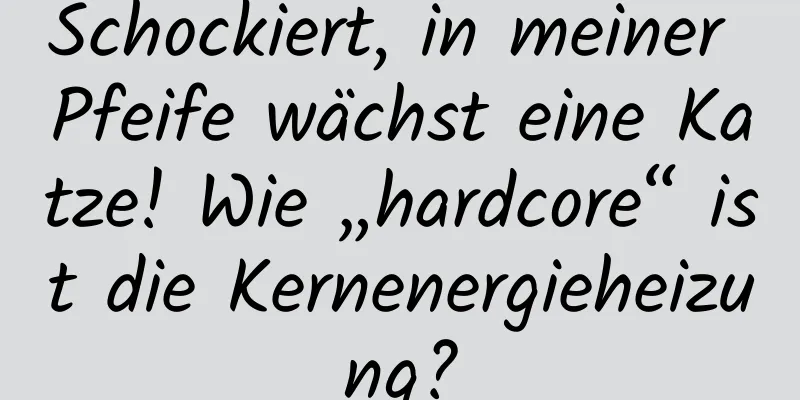 Schockiert, in meiner Pfeife wächst eine Katze! Wie „hardcore“ ist die Kernenergieheizung?