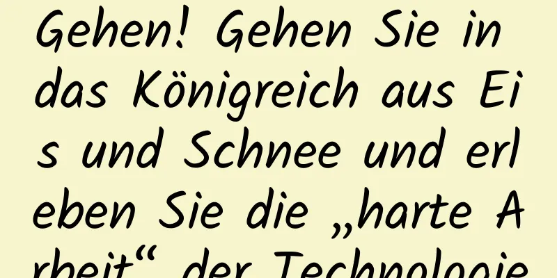 Gehen! Gehen Sie in das Königreich aus Eis und Schnee und erleben Sie die „harte Arbeit“ der Technologie