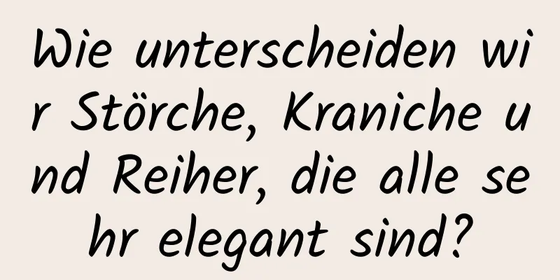 Wie unterscheiden wir Störche, Kraniche und Reiher, die alle sehr elegant sind?
