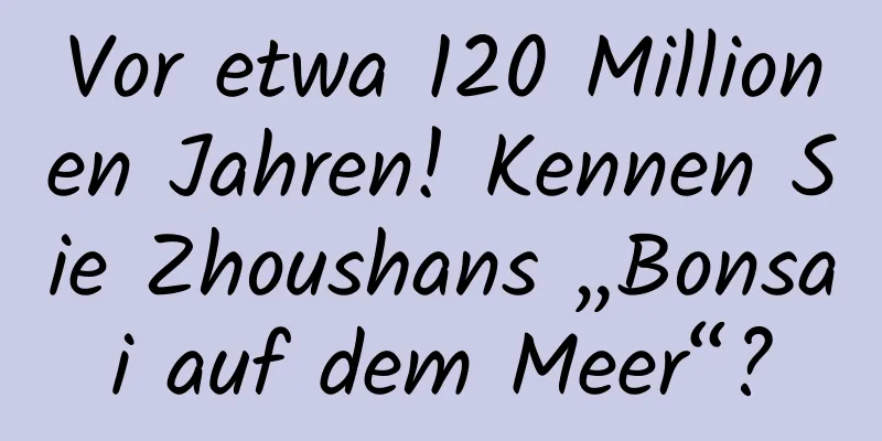 Vor etwa 120 Millionen Jahren! Kennen Sie Zhoushans „Bonsai auf dem Meer“?