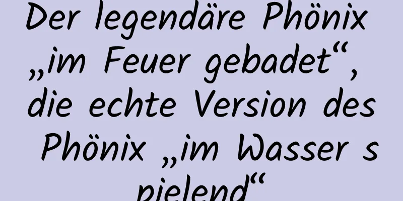 Der legendäre Phönix „im Feuer gebadet“, die echte Version des Phönix „im Wasser spielend“